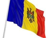 12-молд