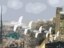 24-вывод